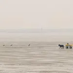 Nautilus, 13 Inkl Strandkorb