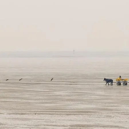 Nautilus, 13 Inkl Strandkorb