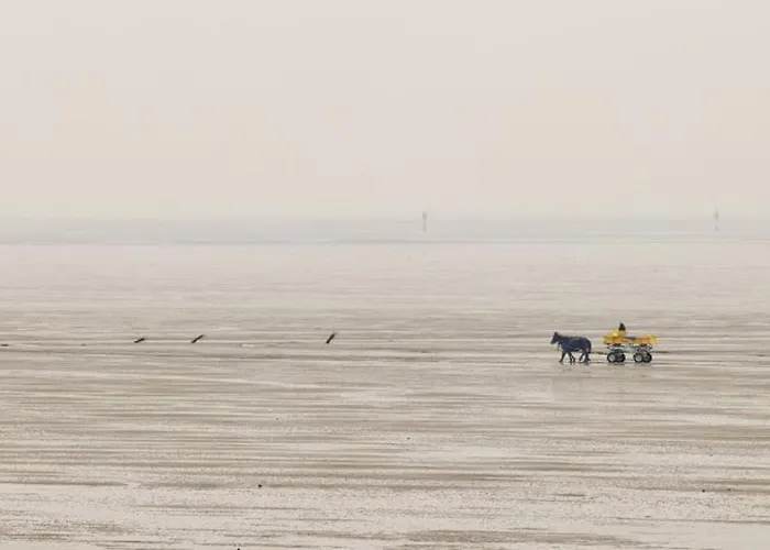 Nautilus, 13 Inkl Strandkorb